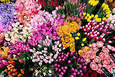 《上古5》总监：DLC已死 玩家6个月后玩别的游戏